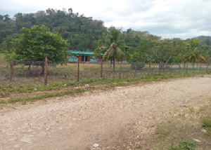 Grant spotlight: Our Lady of Sorrows RC School